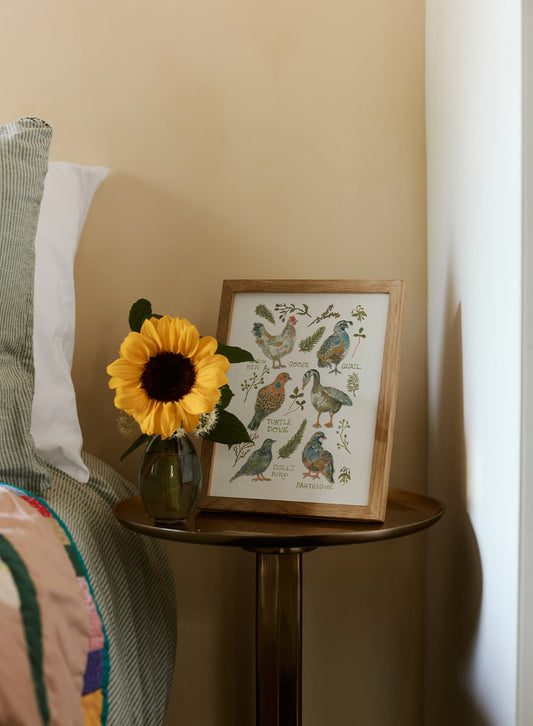 A Feathered Flock, Poster