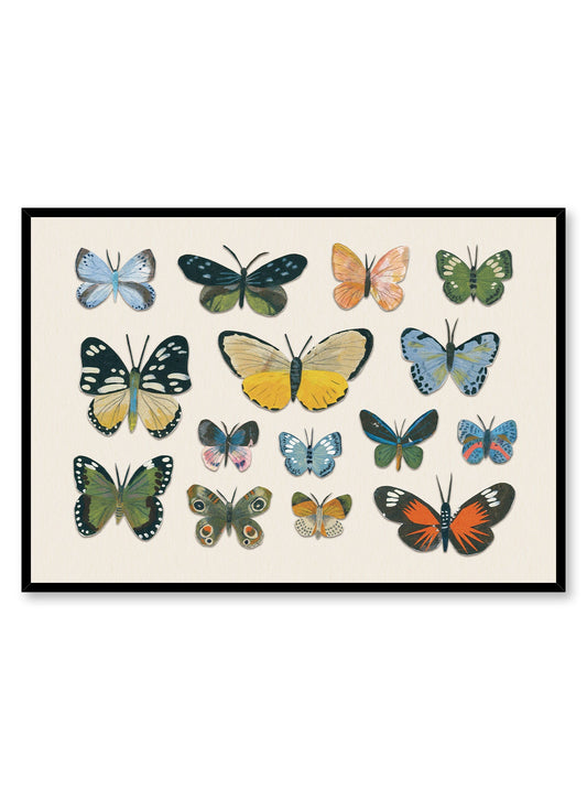 Little Butterfly Beauties, Poster