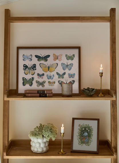Little Butterfly Beauties, Poster