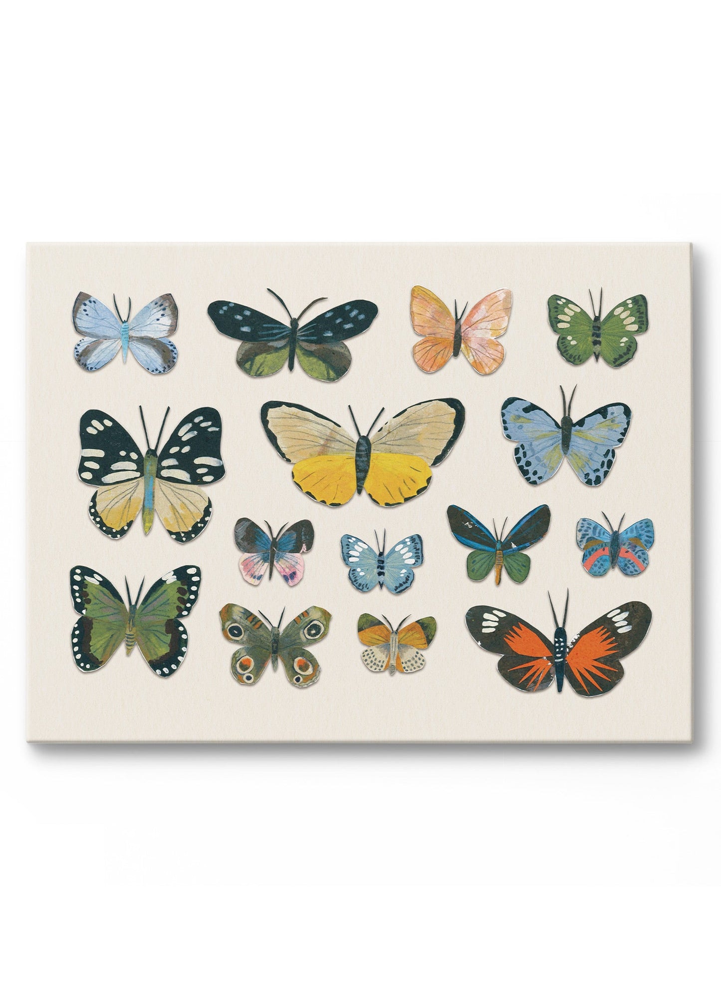 Little Butterfly Beauties, Poster