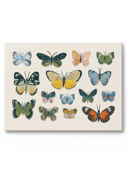 Little Butterfly Beauties, Poster
