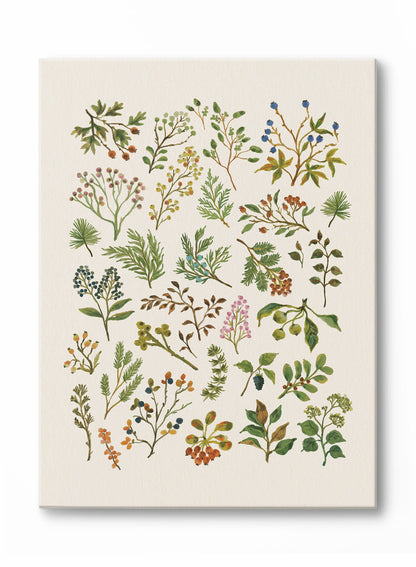 Pressed Botanical Study, Poster